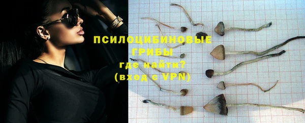 apvp Гусиноозёрск