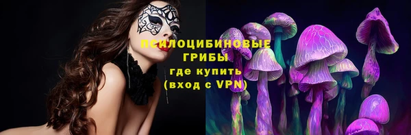 apvp Гусиноозёрск