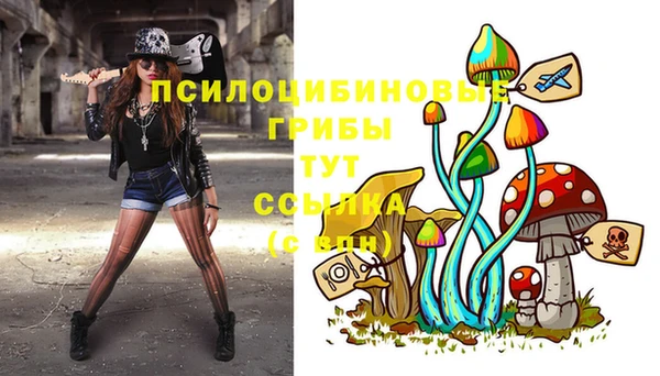 метадон Гусь-Хрустальный