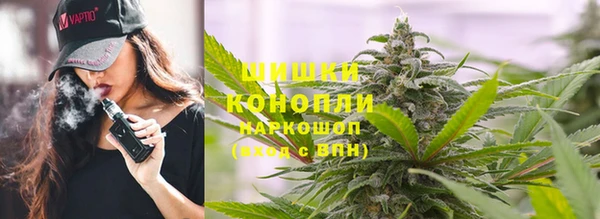 apvp Гусиноозёрск