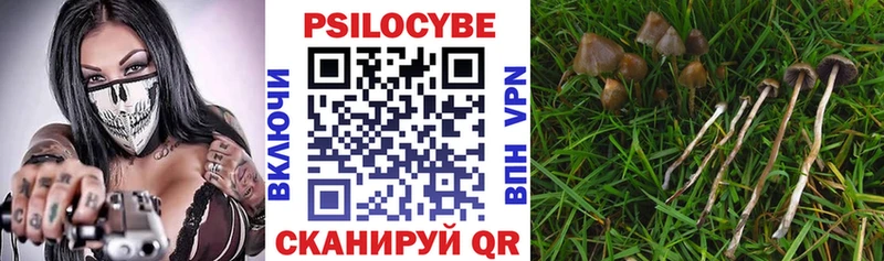 Галлюциногенные грибы GOLDEN TEACHER  Монино 